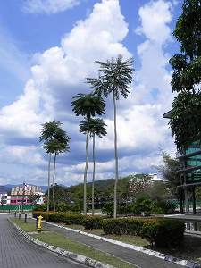 20110226malaysia (13).jpg